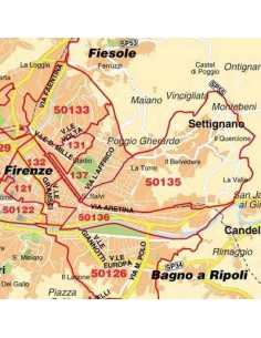 Mappa di Firenze jpg 1:100.000 con CAP 2