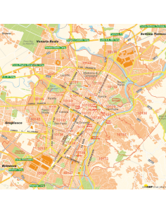 Mappa di Torino jpg 1:100.000 con CAP