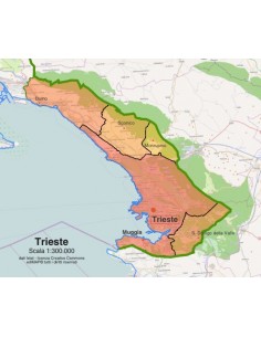 Mappa dei comuni della provincia di Trieste pdf 2