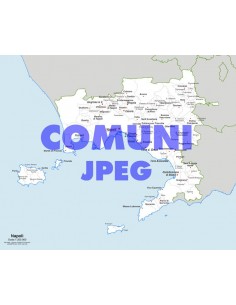 Mappa dei comuni della provincia di Napoli jpg