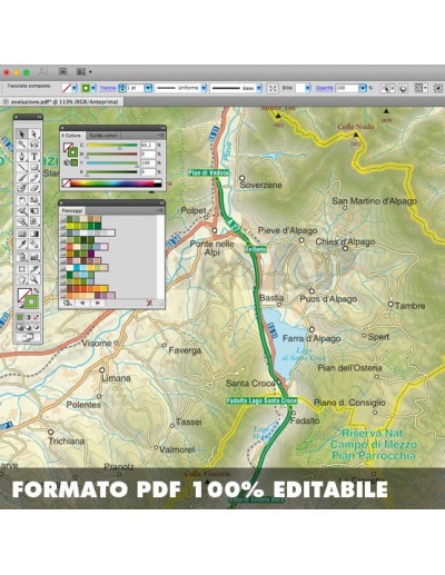 Mappa della provincia di Belluno pdf scala...