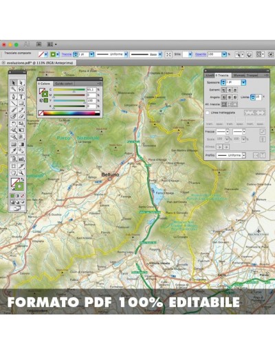 Mappa della provincia di Belluno pdf scala...