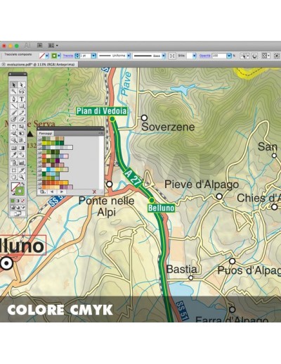 Mappa della provincia di Belluno pdf scala...