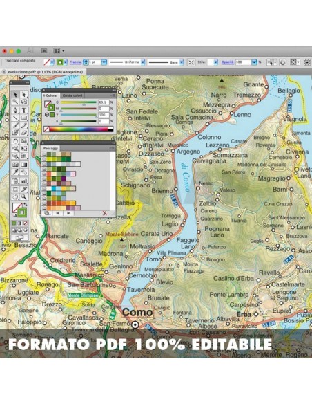 Mappa della provincia di Como pdf scala 1:200.000