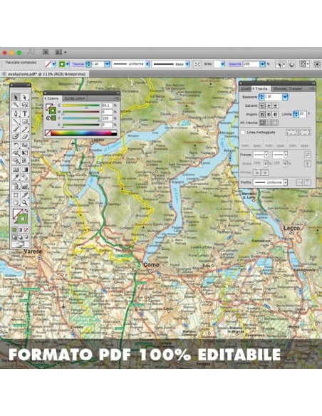 Mappa della provincia di Como pdf scala 1:200.000