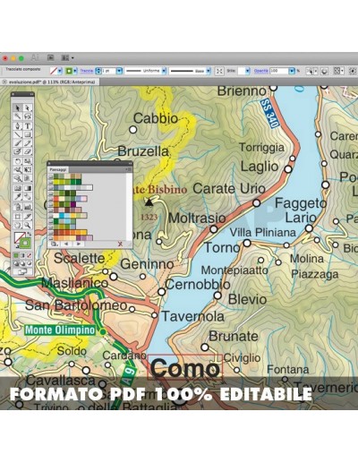 Mappa della provincia di Como pdf scala 1:200.000