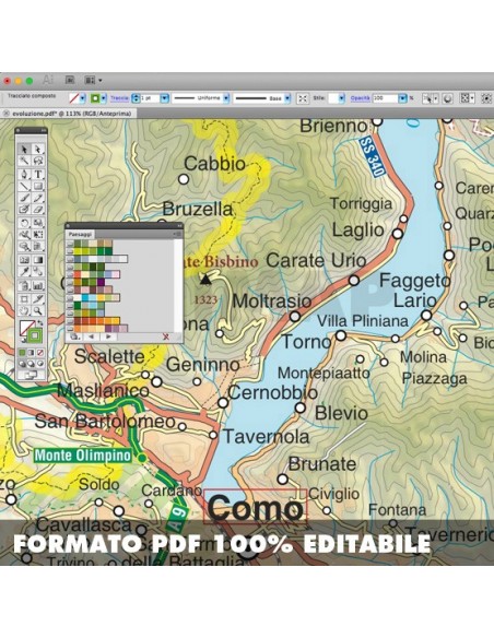 Mappa della provincia di Como pdf scala 1:200.000