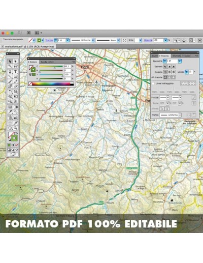 Mappa della provincia di Forlâ€œ-Cesena pdf...
