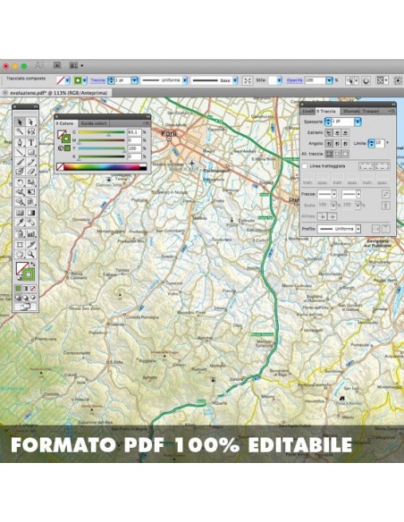 Mappa della provincia di Forlâ€œ-Cesena pdf scala 1:200.000