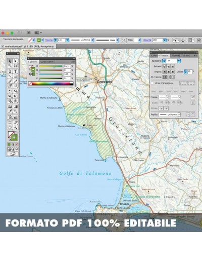 Mappa della provincia di Grosseto pdf scala...