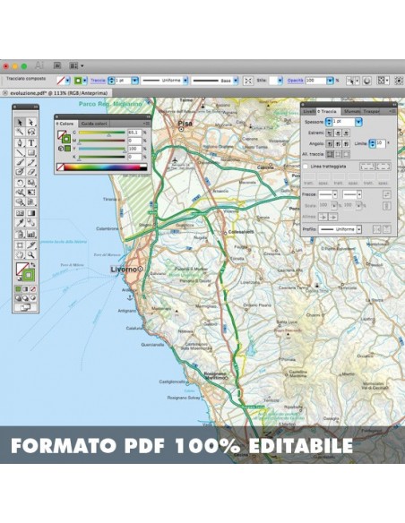 Mappa della provincia di Livorno pdf scala 1:200.000