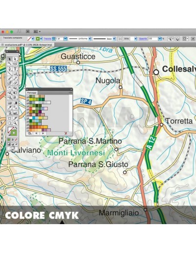 Mappa della provincia di Livorno pdf scala...