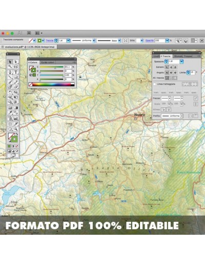 Mappa della provincia di Nuoro pdf scala 1:200.000