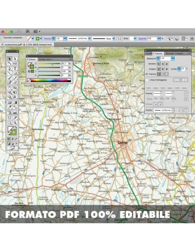 Mappa della provincia di Udine pdf scala 1:200.000