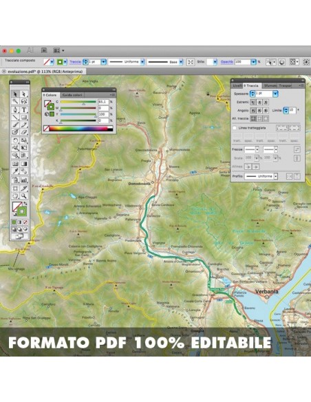 Mappa della provincia di Verbano-Cusio-Ossola pdf scala 1:200.00