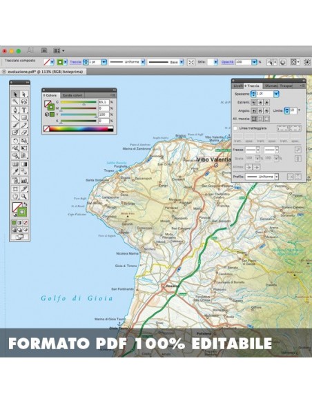 Mappa della provincia di Vibo Valentia pdf scala 1:200.000