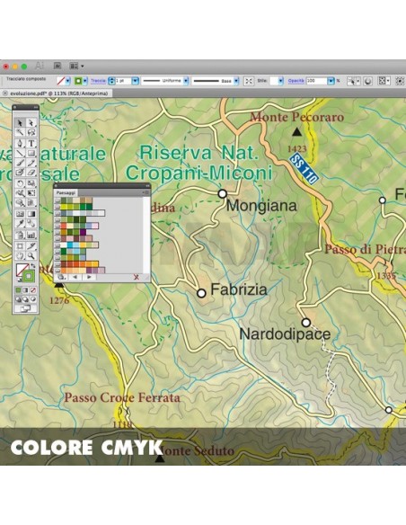 Mappa della provincia di Vibo Valentia pdf scala 1:200.000