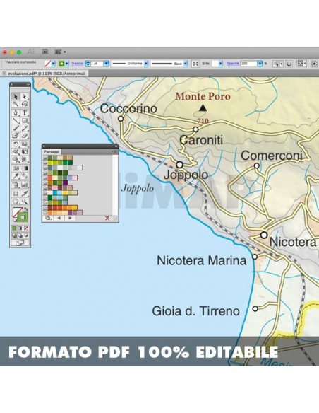 Mappa della provincia di Vibo Valentia pdf scala 1:200.000