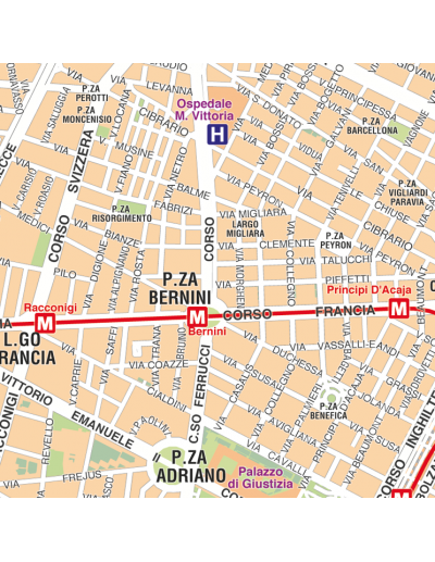 Mappa di Torino - PANNELLO 120x120 cm