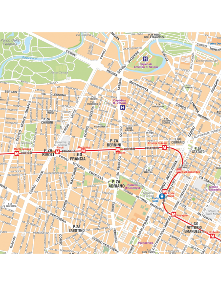 Mappa di Torino - PANNELLO 120x120 cm