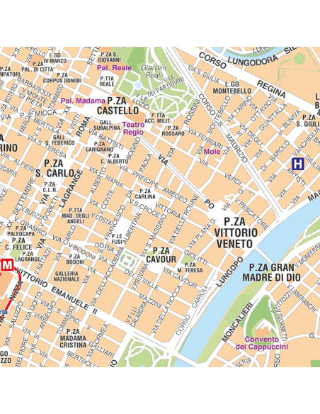 Mappa di Torino - PANNELLO 120x120 cm