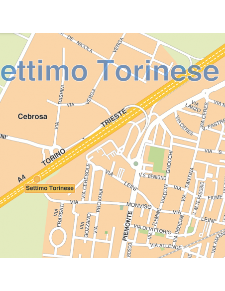 Mappa di Torino - PANNELLO 120x120 cm