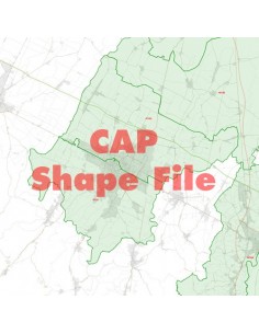 Mappa dei cap di Forlì ShapeFile