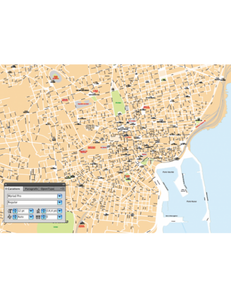 Mappa di Catania pdf vettoriale