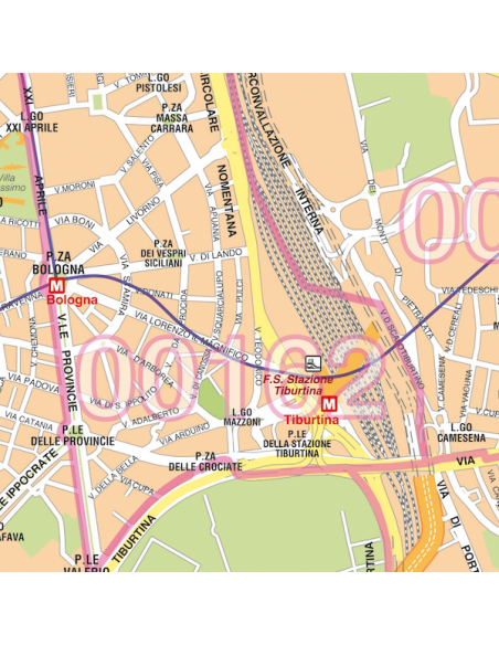 Mappa dei CAP di Roma GRA - Poster 150x150 cm