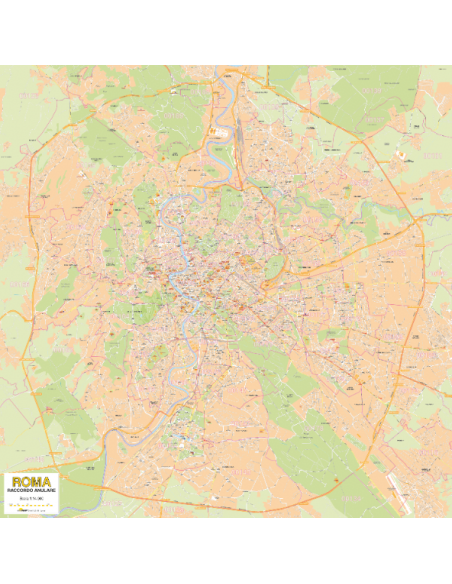 Mappa dei CAP di Roma GRA - Poster 150x150 cm