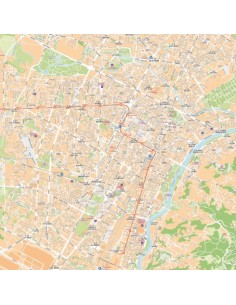 Mappa di Torino MAGNETICA 120x120 cm 2