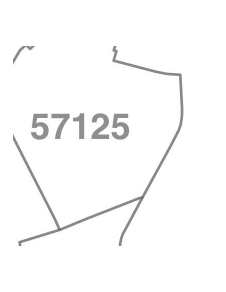 Mappa dei cap di Livorno jpg