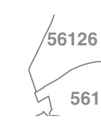 Mappa dei cap di Pisa jpg