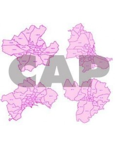 Carte dei CAP delle 41 città ShapeFile