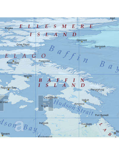 Mappa del Mondo (Natural) - PANNELLO 200 x 100 cm