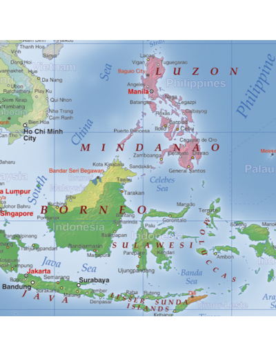 Mappa del Mondo (Hypsometric) - PANNELLO 200 x...